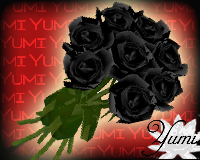 Rose Bundle - Raven