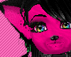 Punk Furry Skin