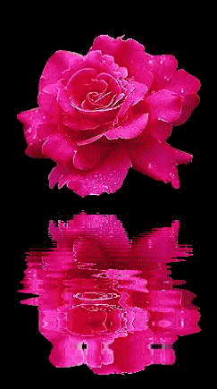 sticker_3606393_10277697