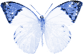 sticker_27637749_40868688