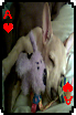 sticker_12602213_30809065