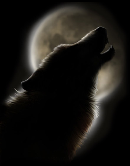 sticker_9247348_26421931