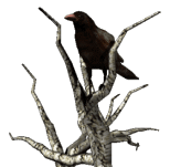 sticker_18368206_37802256