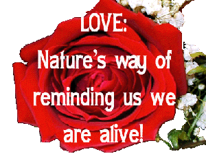 sticker_21373652_41482390