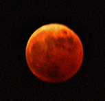 sticker_1797676_4655435