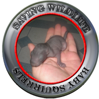 sticker_25177357_34994125