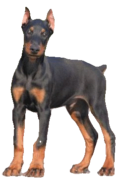 sticker_19218773_26397178