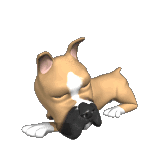 sticker_27998187_39259403