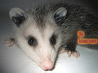 sticker_19341075_39835659