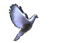 sticker_3017783_5143721