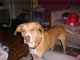sticker_27144826_37067522