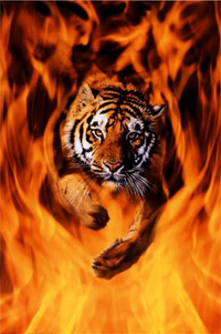 sticker_791853_23007246