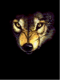 sticker_22795194_35015570