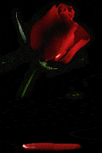 sticker_16562055_24714057