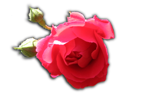 sticker_1101975_18572083