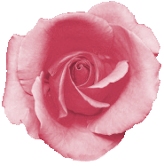 sticker_17992944_33306795