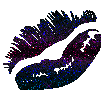 sticker_18018297_36251556