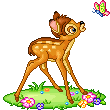 sticker_17732681_40058213