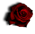 sticker_22186294_47557272