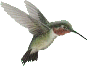 sticker_5260502_19667123