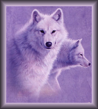 sticker_19808682_34659372