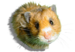 sticker_8432997_15687097