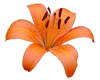 sticker_6689035_8205384