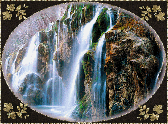 sticker_5260502_14770920