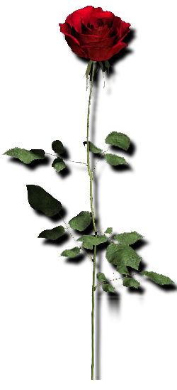 sticker_1317326_34431361