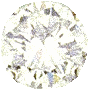 sticker_18385538_26037957