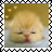 sticker_6195420_27897457