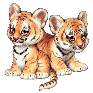 sticker_791853_23007240