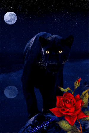 sticker_11549544_35599314