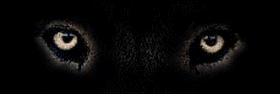 sticker_20004153_29987564