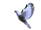 sticker_23052402_32819646