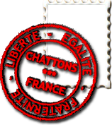 sticker_3800370_20783818
