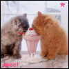 sticker_2238609_6309227