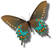 sticker_2298716_5066745