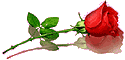 sticker_16972426_29980763