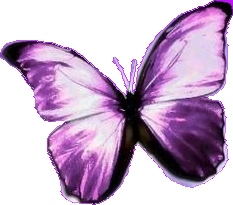 sticker_27930040_38481632