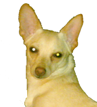 sticker_12602213_23592106