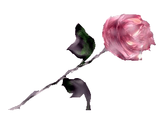 sticker_20385425_35361071