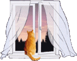 sticker_10286927_16396872