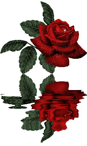 sticker_10067730_20921172