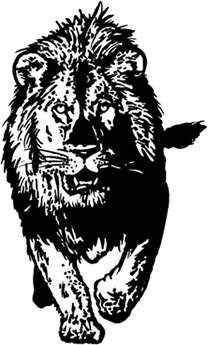 sticker_2858881_12866182