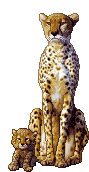sticker_23052402_34104015