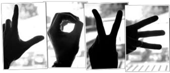 sticker_16356277_34421472
