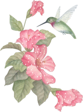 sticker_22587919_31440611