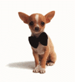 sticker_17634822_37964598