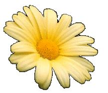 sticker_17817978_25096807